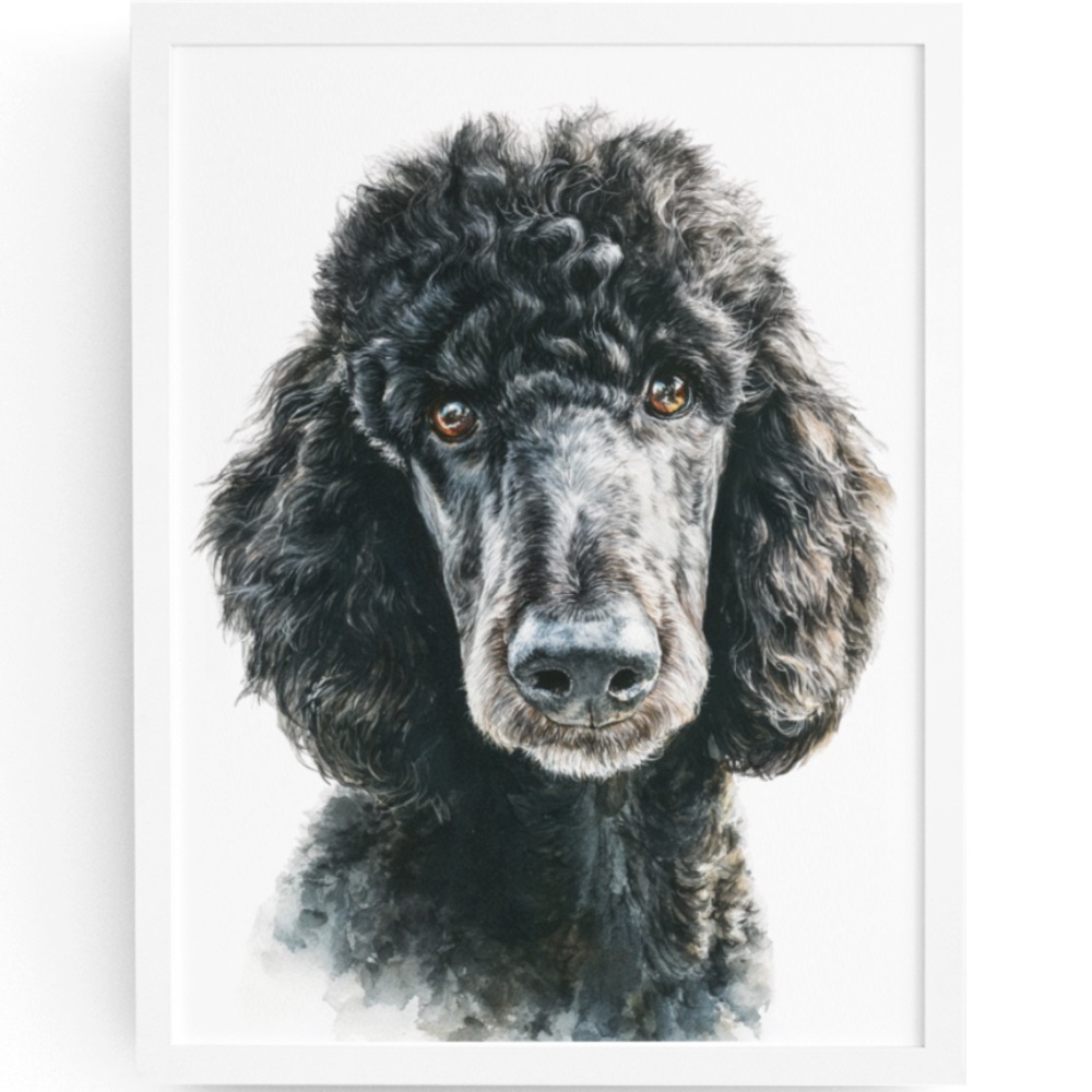 Watercolor Black Poodle Portrait Wall Art Print Poster, Unframed - Pet Artwork